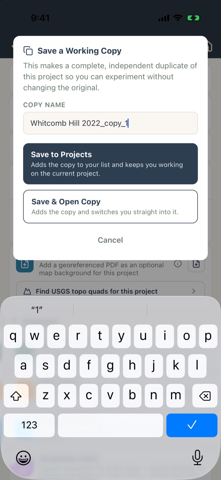 Save a Working Copy dialog with a name field and two save buttons