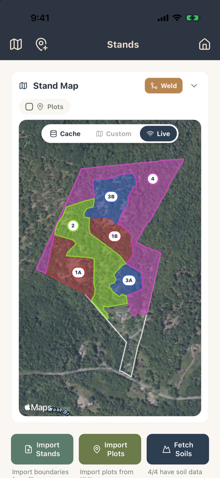 Stand Map with four colored stands, two of them in two pieces labeled 1A, 1B, 3A, 3B