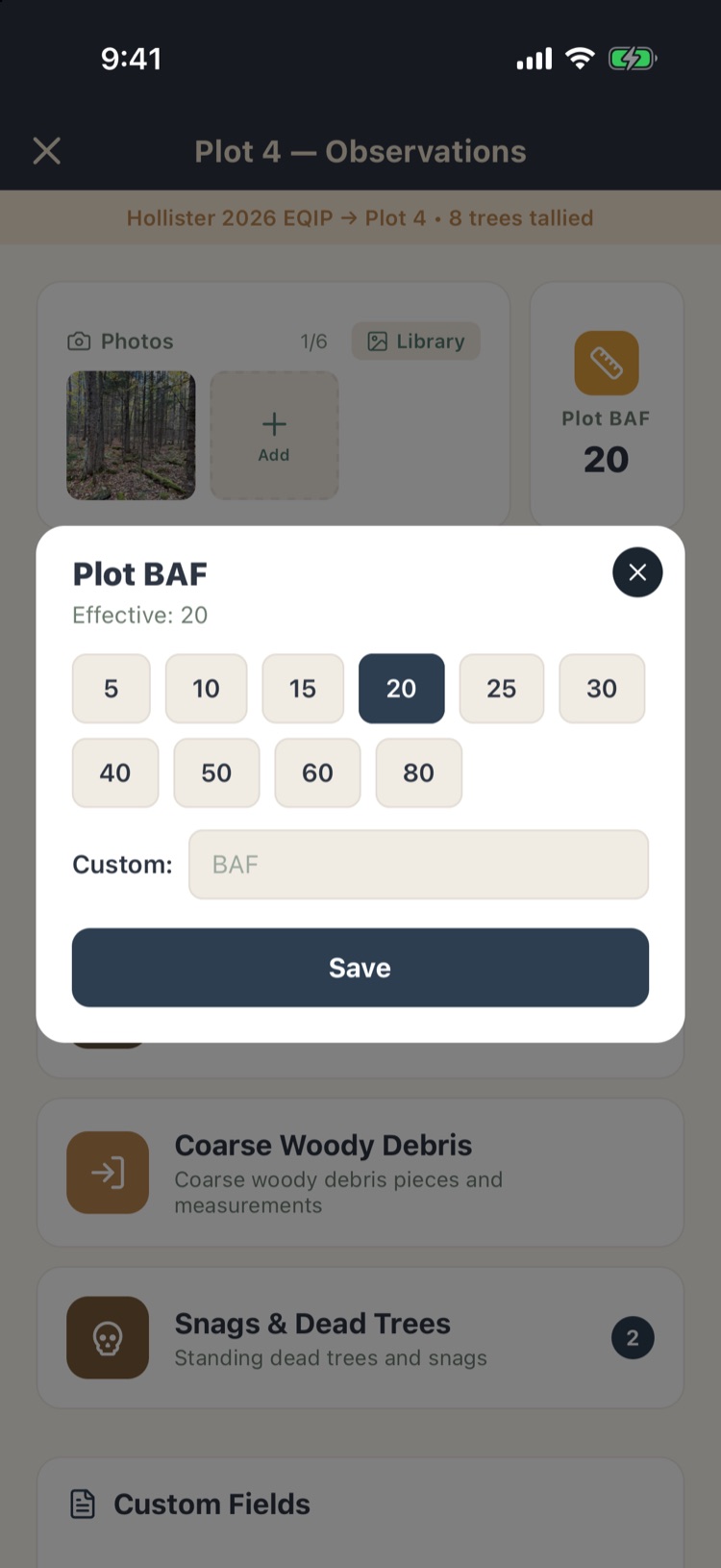 Plot BAF sheet with BAF 20 selected and a custom field