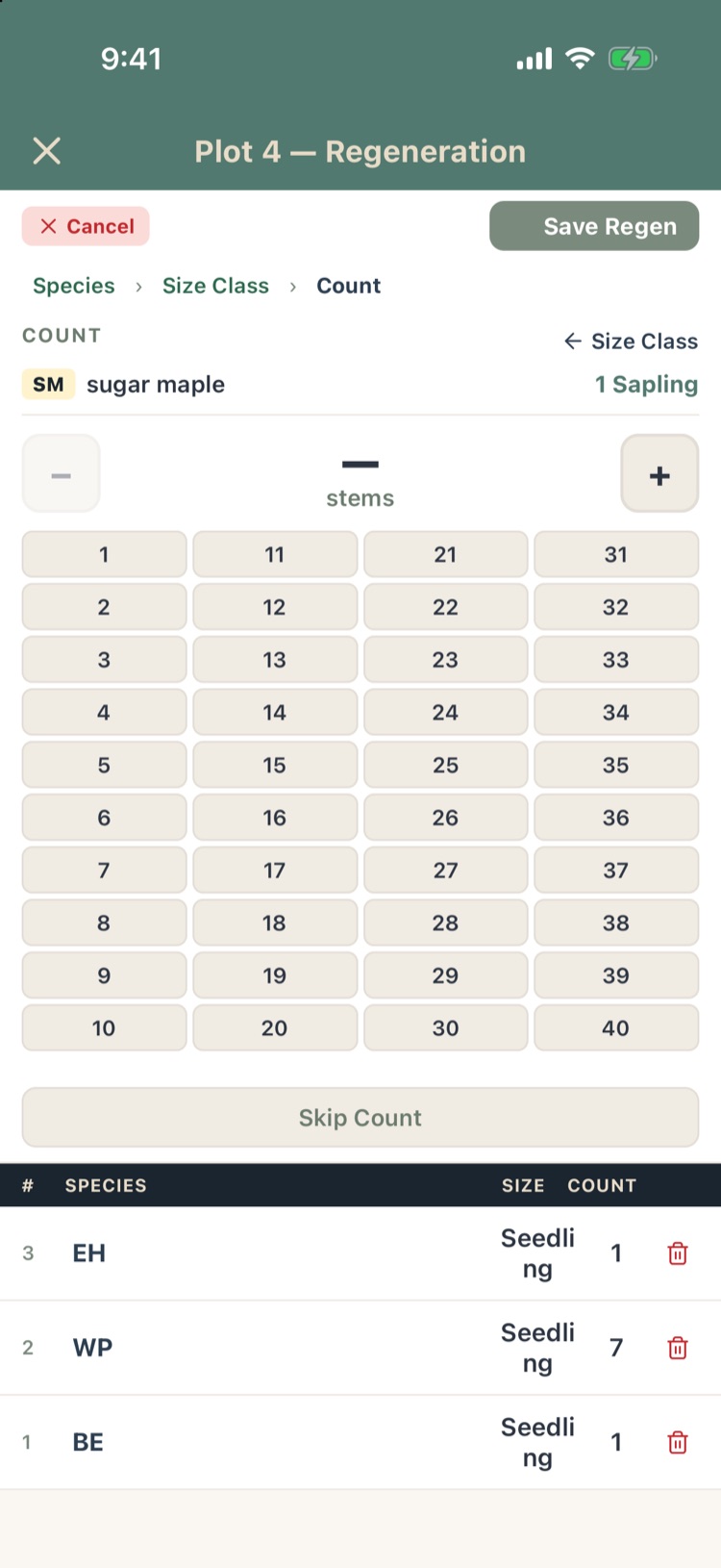 Regeneration count step for 1 inch sugar maple saplings with a stepper and numbers 1 to 40