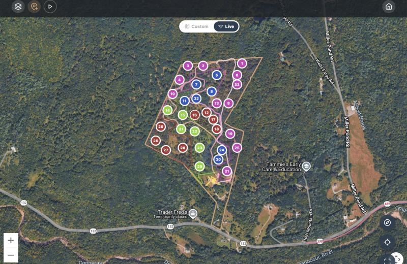 The project map in a web browser: Whitcomb Hill's boundary, stands and numbered plots over satellite imagery with road names