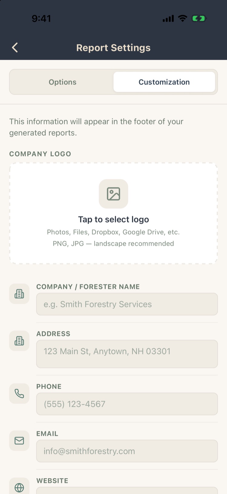 Report Settings Customization tab with company logo and contact fields